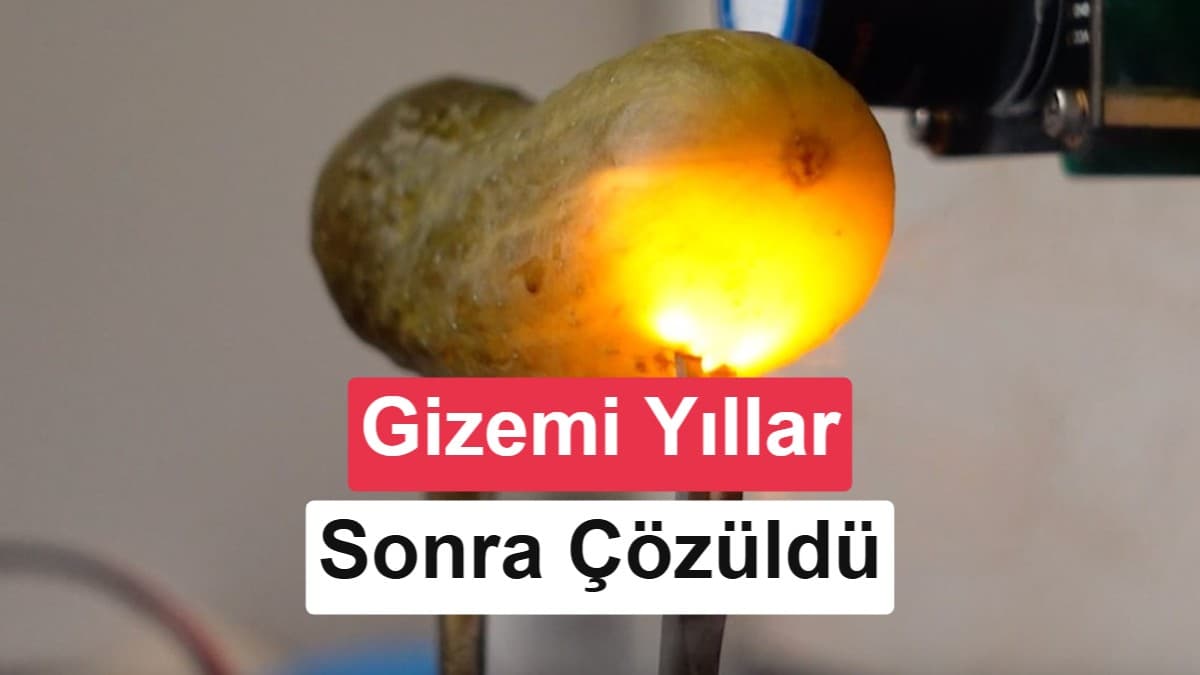 Turşunun elektrik altında sarı-turuncu parlamasının mekanizması açıklandı