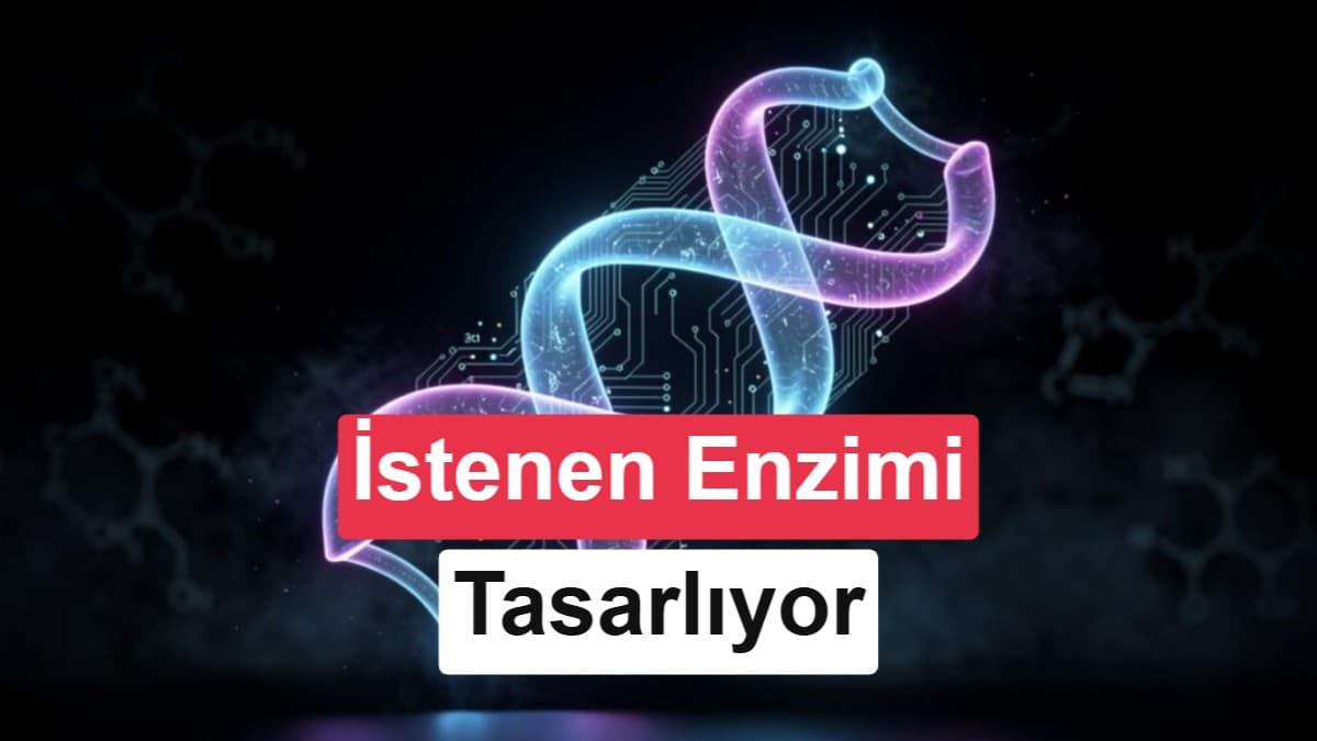 Google DeepMind, özel kimyasal tepkimeler için enzim tasarlayan modelini açtı